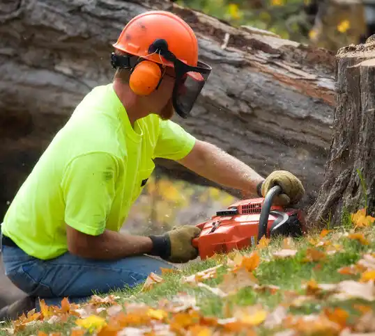 tree services Taconite